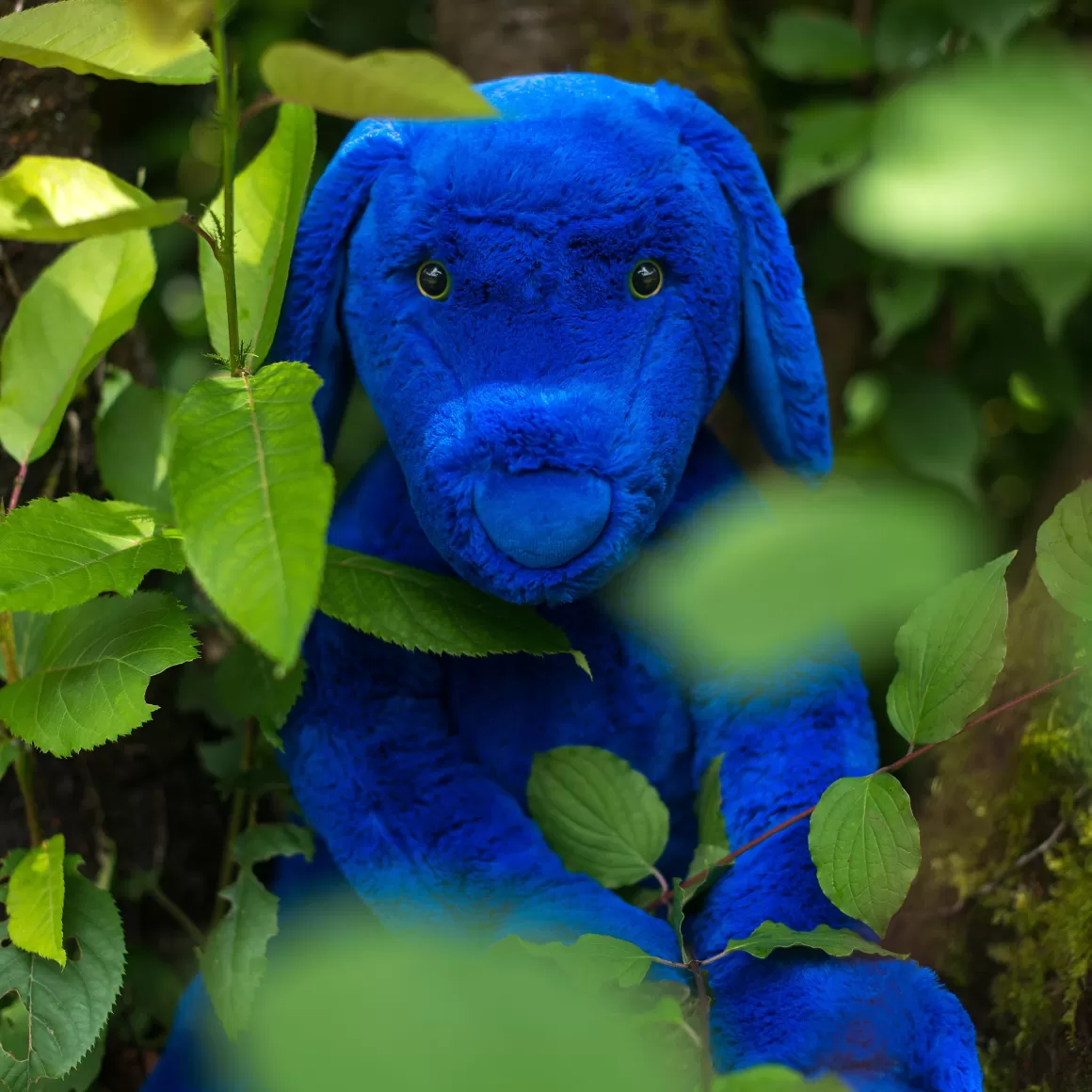 Moulin Roty Peluche Chien Bleu Flash Sale